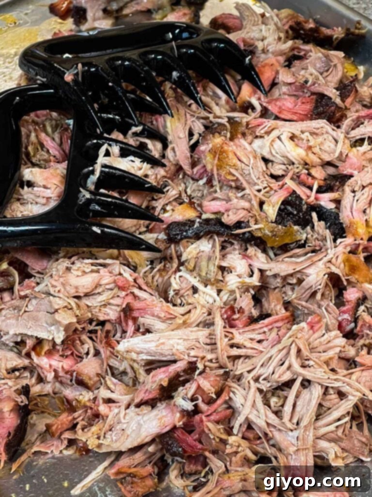 Ultimate Pork Shoulder Brine 4 Perfectly shredded pork shoulder meat, pulled apart with meat claws, ready for serving.