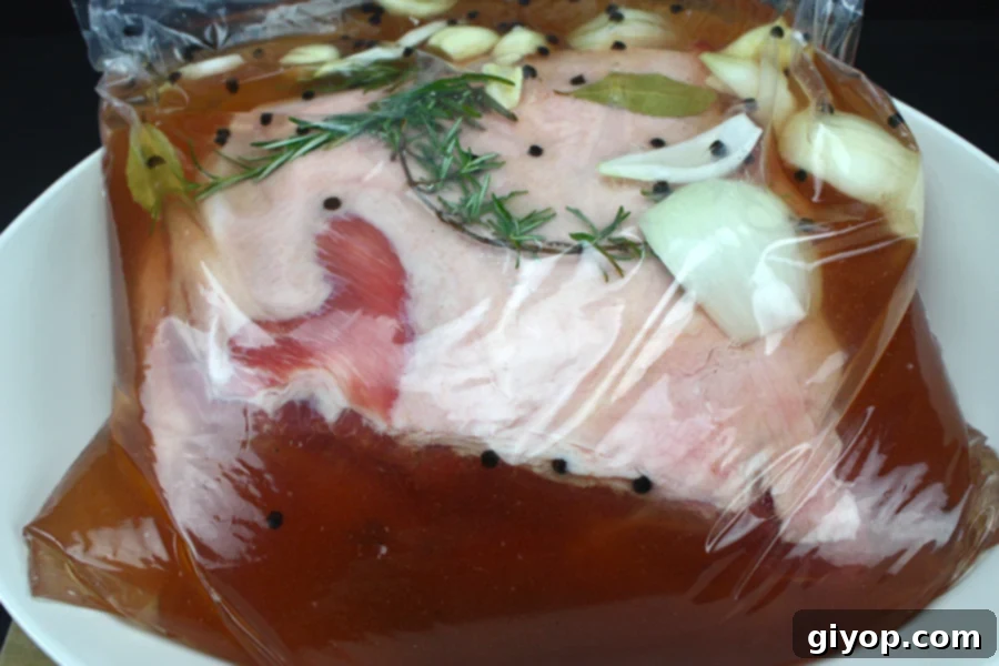 Ultimate Pork Shoulder Brine 5 Pork shoulder submerged in brine inside a large plastic bag, ready for refrigeration.