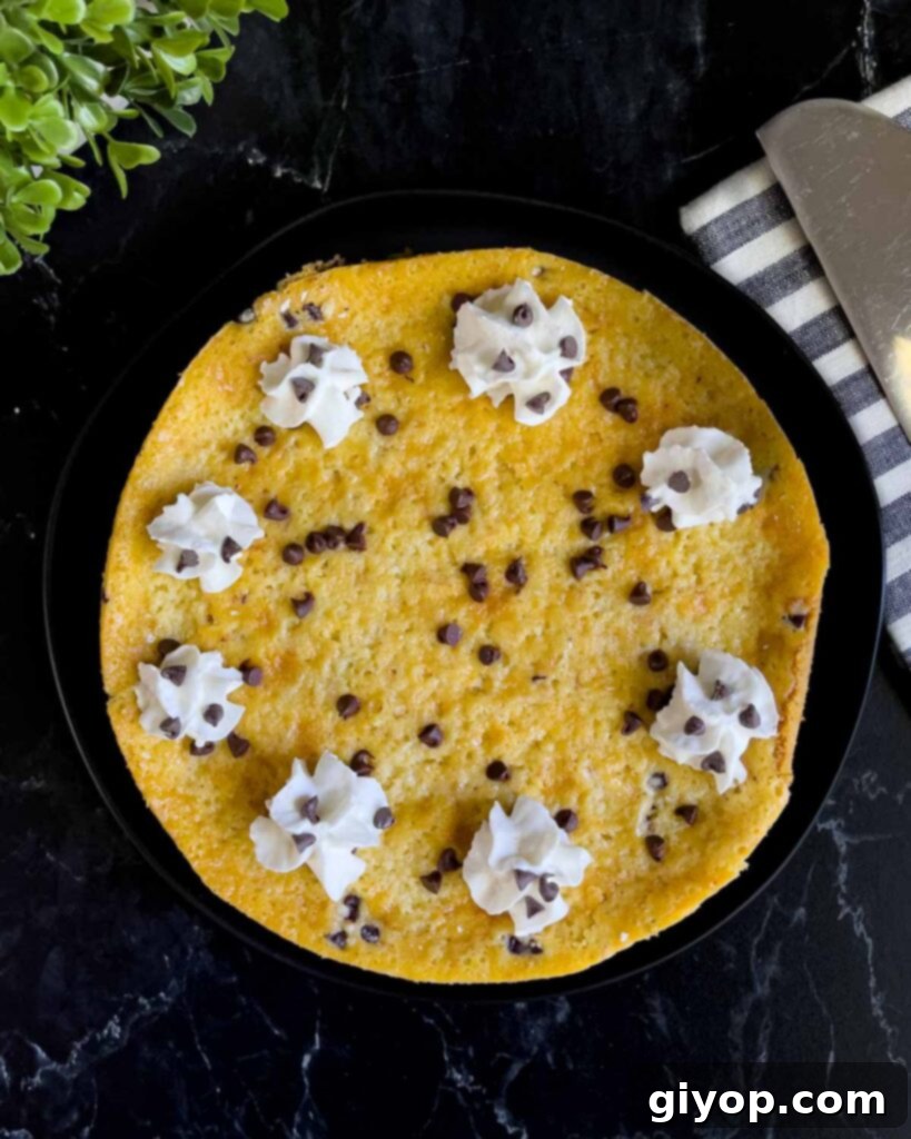 The whole cannoli cheesecake garnished with generous swirls of whipped cream, a sprinkle of mini chocolate chips, and a dusting of cocoa powder on a dark plate.
