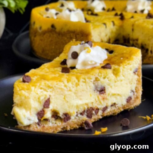 A slice of cannoli cheesecake on a dark plate with the whole cheesecake behind it.