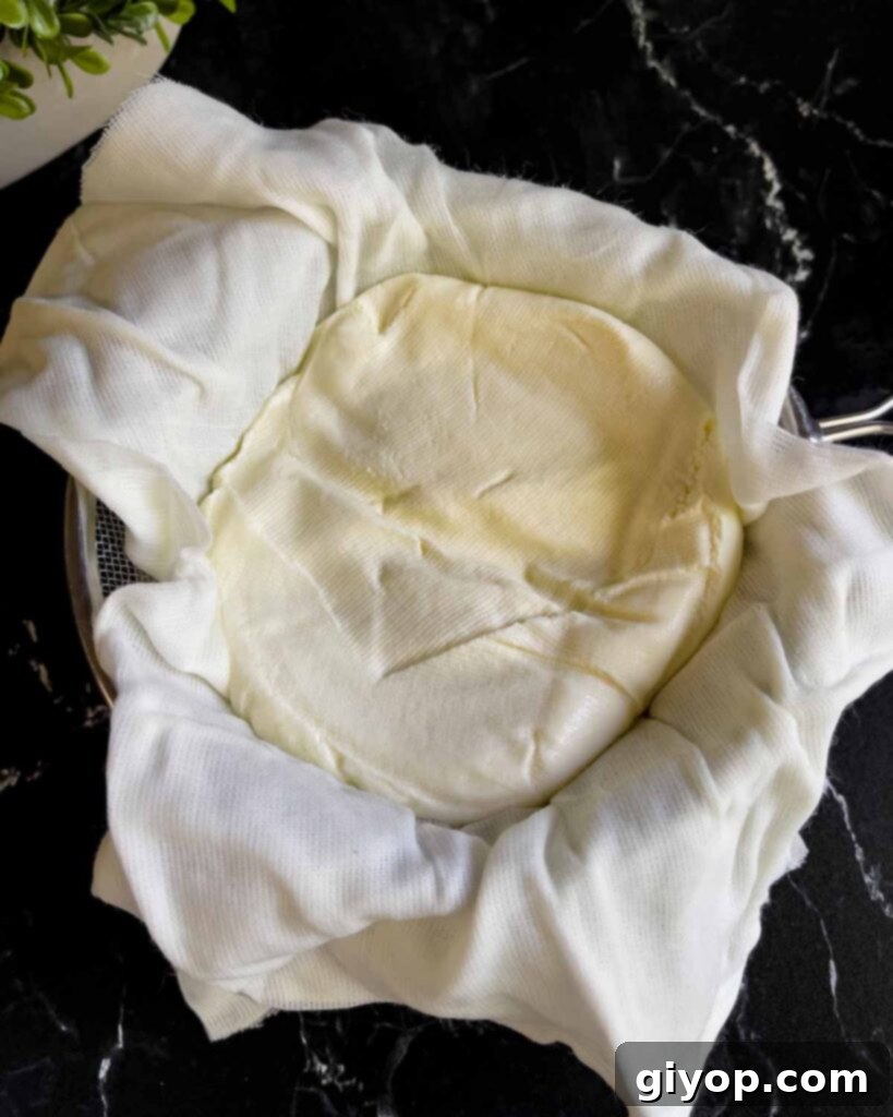 Drained ricotta cheese with the cheesecloth unwrapped in a strainer, showing its thick, creamy consistency after the draining process.