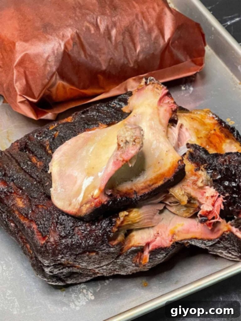 The shoulder bone effortlessly pulled clean from a perfectly cooked pork butt, signifying its tenderness.