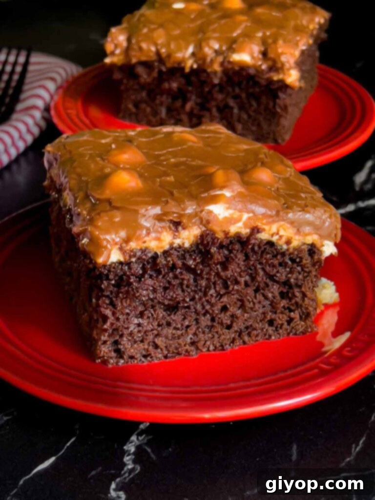 A slice of Mississippi Mud Cake on a plate with another slice in the background, showcasing its layers.