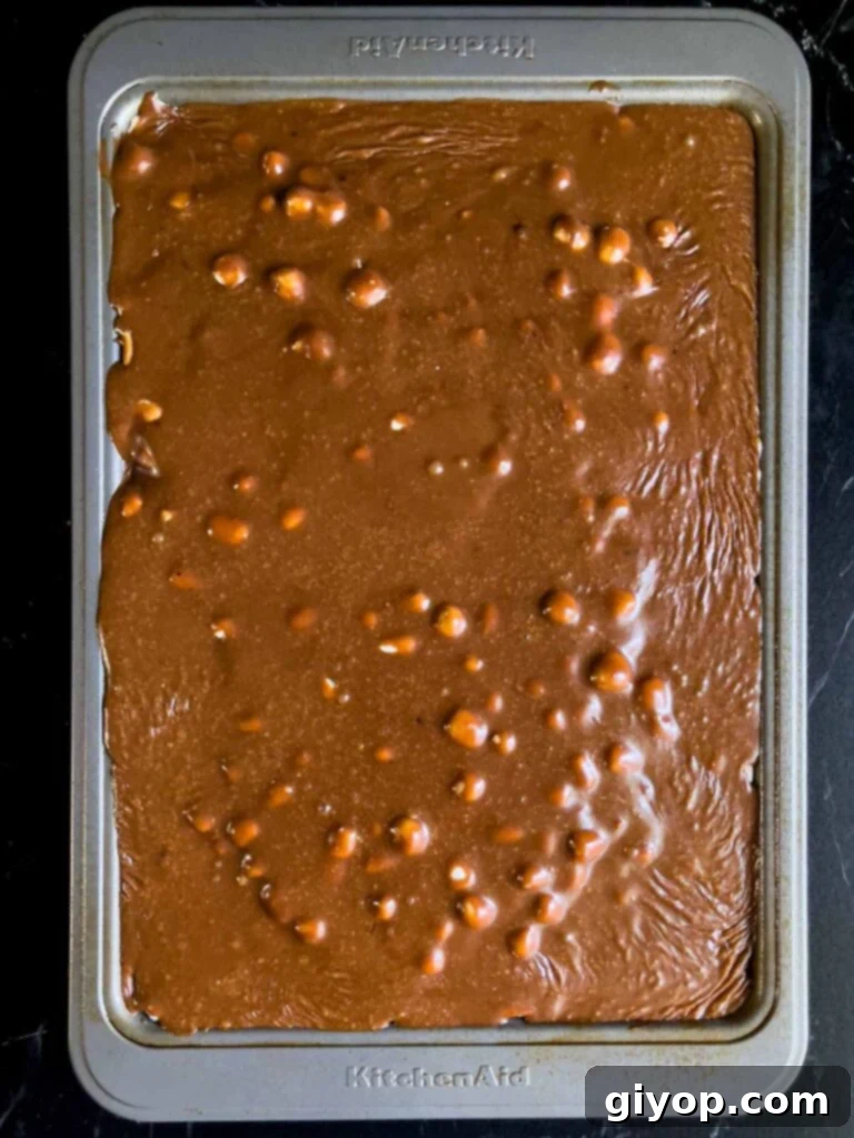 The finished Mississippi Mud Cake resting in its metal baking pan, completely frosted and ready to set.