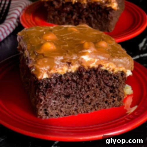 A slice Mississippi Mud Cake on a plate with another slice in the background.