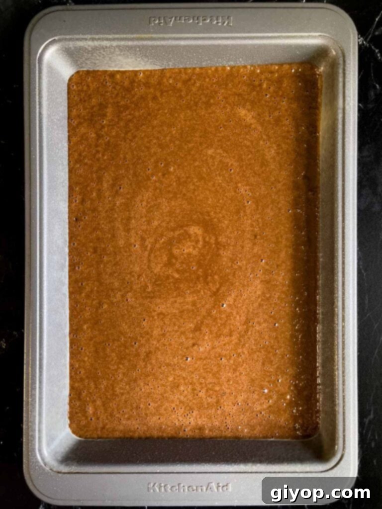 Mississippi Mud Cake batter smoothly poured into a 9x13 metal baking pan, ready for the oven.