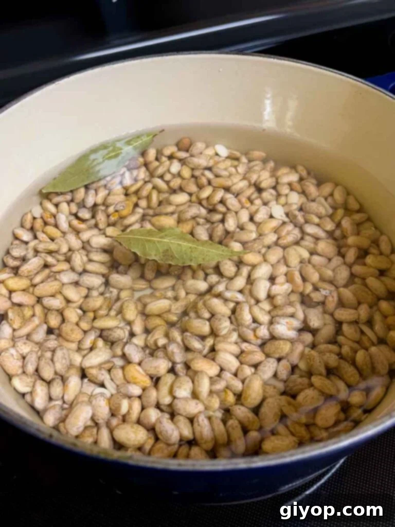Pinto beans just added to a dutch oven with a couple of bay leaves.