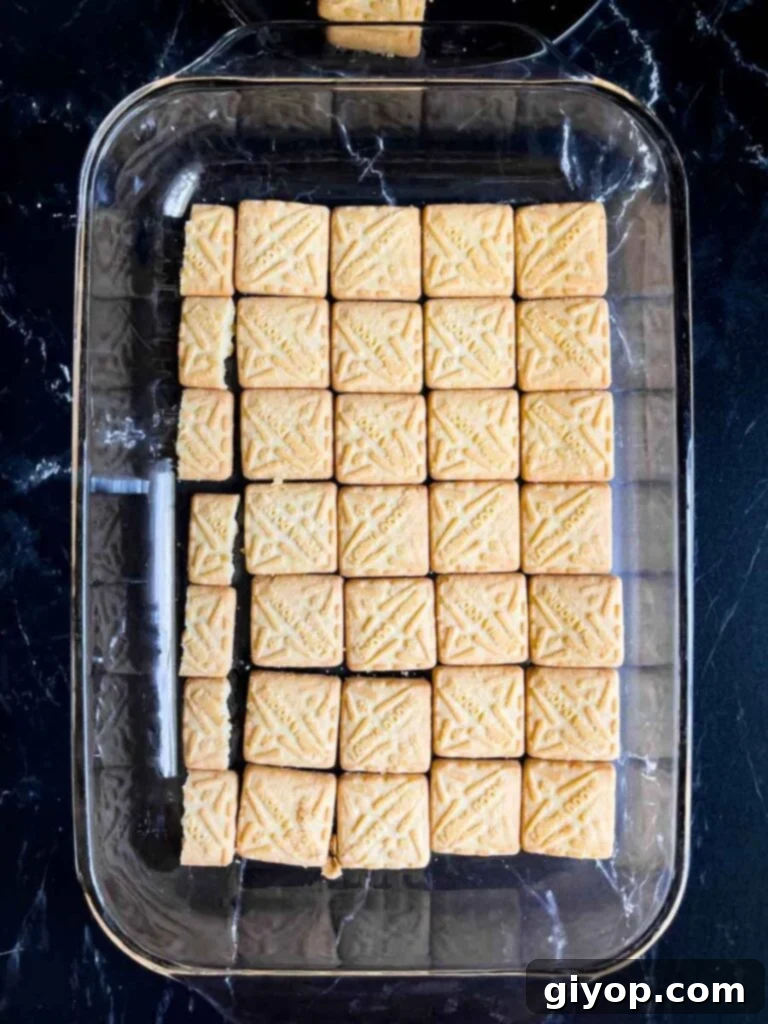 Shortbread cookies arranged in a single layer in a glass baking dish, forming the base of the lemon icebox cake.