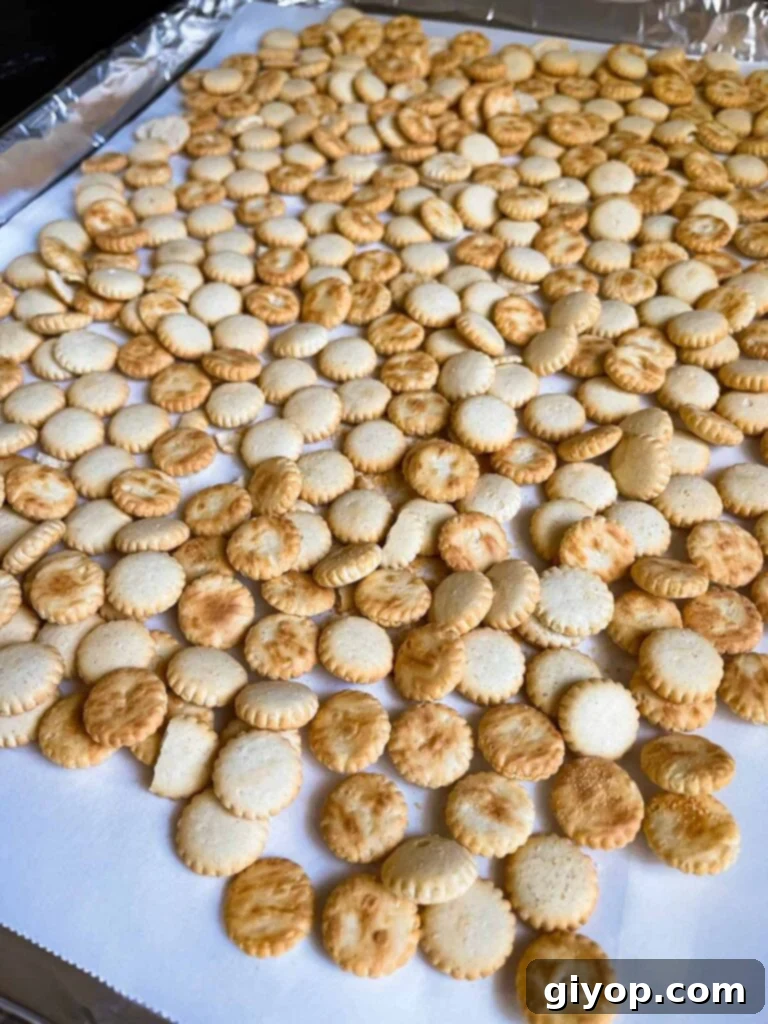 Oyster crackers spread out in a single layer on a lined baking sheet.