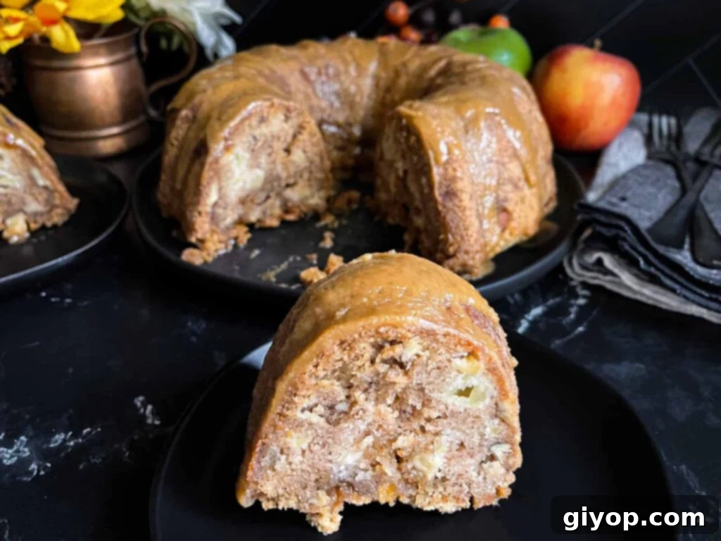 A slice of apple dapple cake on a dark plate on a dark surface.