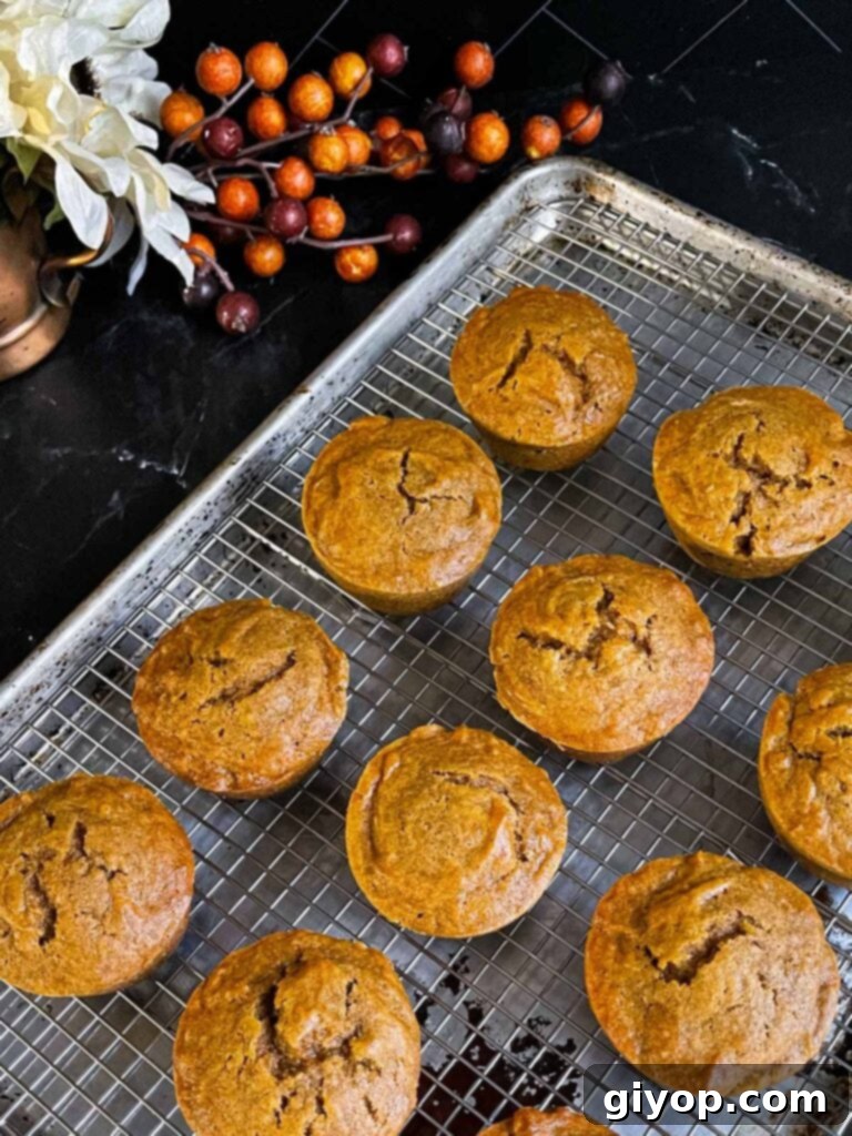 Sweet potato muffins on a wire rack inside a baking sheet on a dark surface.