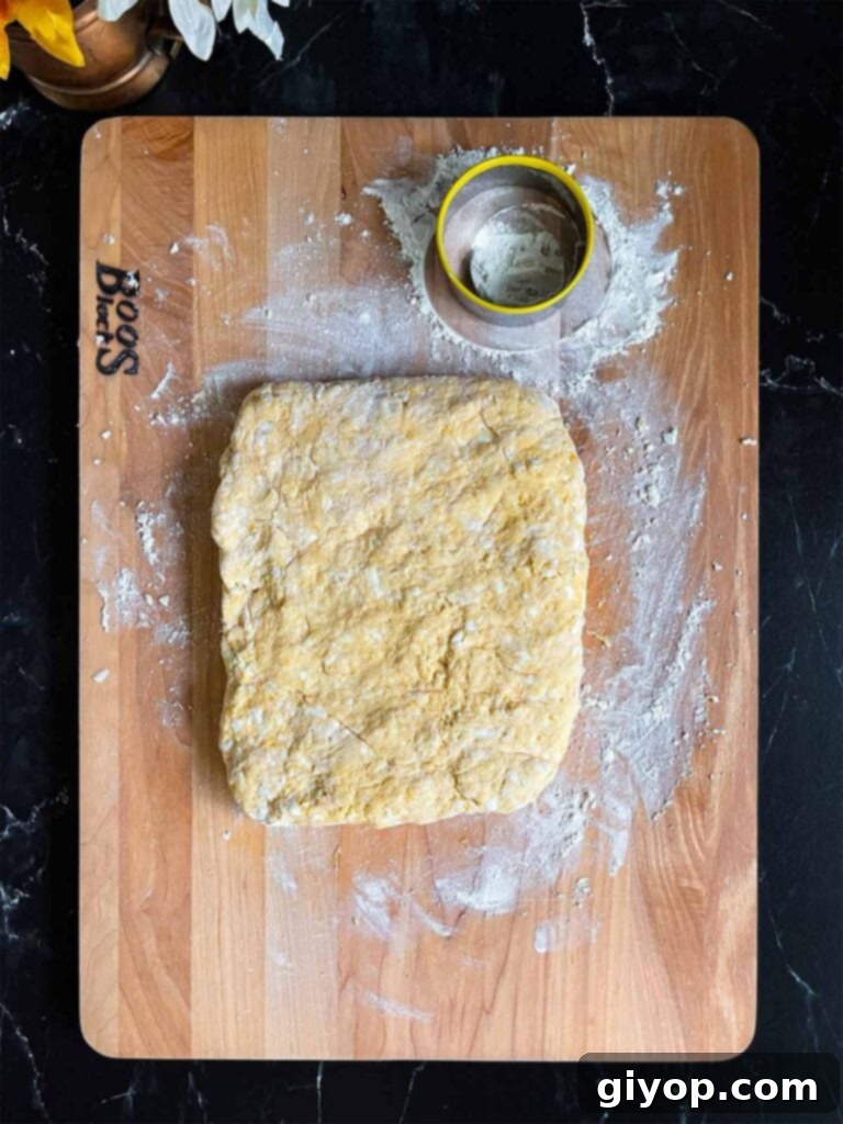 Sweet potato biscuit dough formed into a rectangle on a floured wooden board.