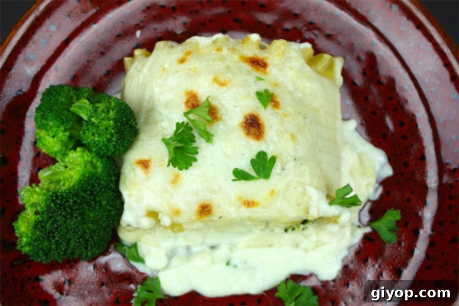 Delicious Broccoli Alfredo Lasagna Roll-Ups served on a maroon plate, garnished with fresh parsley.