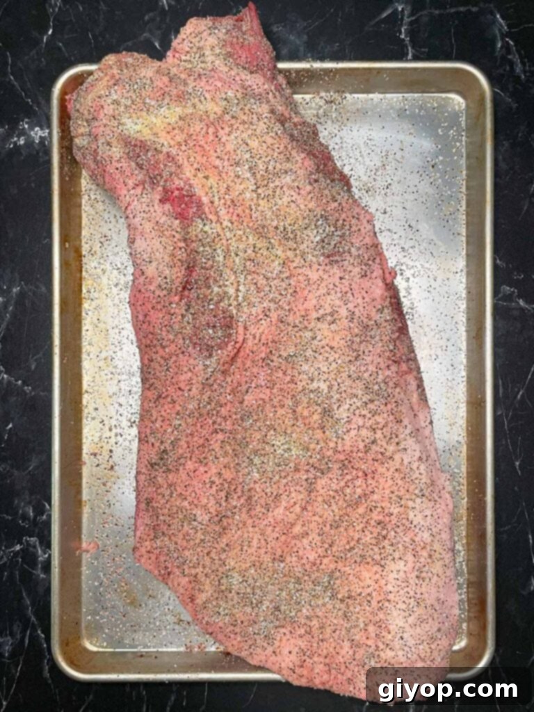 A rubbed brisket, fat side up.