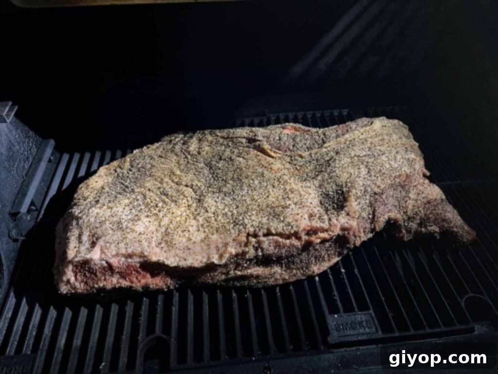 A brisket, fat side up, just placed on a smoker.