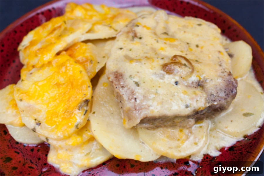 Delicious smothered pork chops with creamy potatoes served on a vibrant red plate, ready to enjoy.