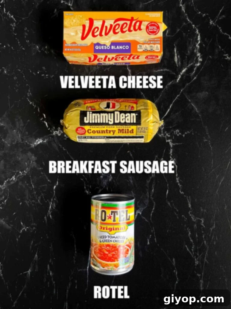 Ingredients for velveeta cheese dip.