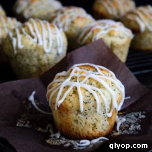 A top-down view of a freshly baked lemon poppy seed muffin on a dark plate, placed on a dark surface, highlighting its golden-brown crust and poppy seed flecks.