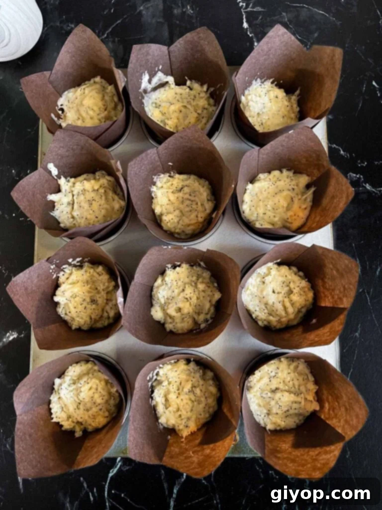 Thick lemon poppy seed muffin batter evenly divided into paper-lined muffin cups in a baking tin, ready for baking.