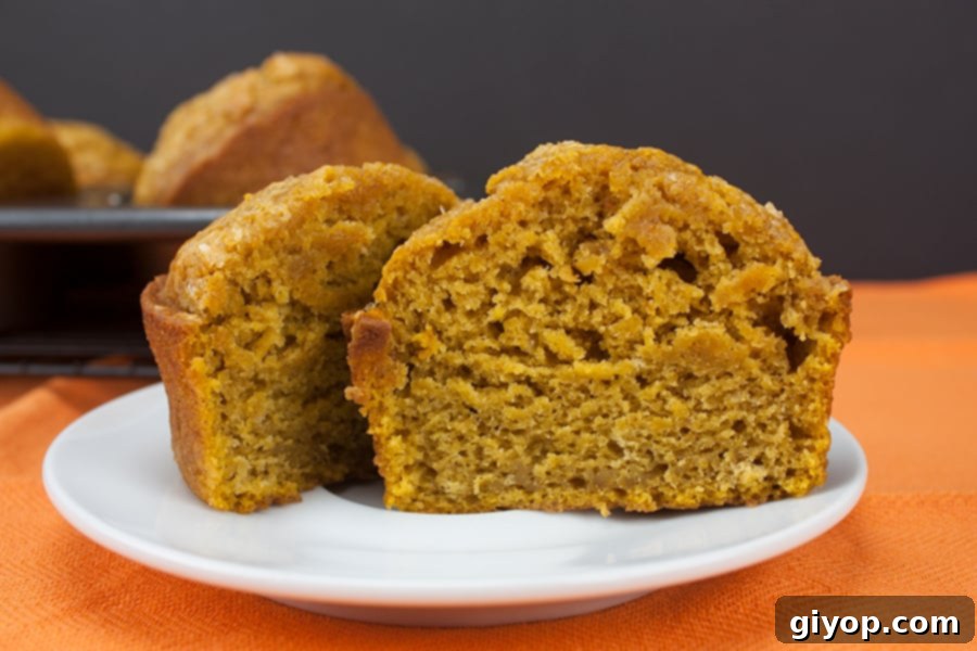 Bakery Style Pumpkin Muffin cut in half on a white plate.