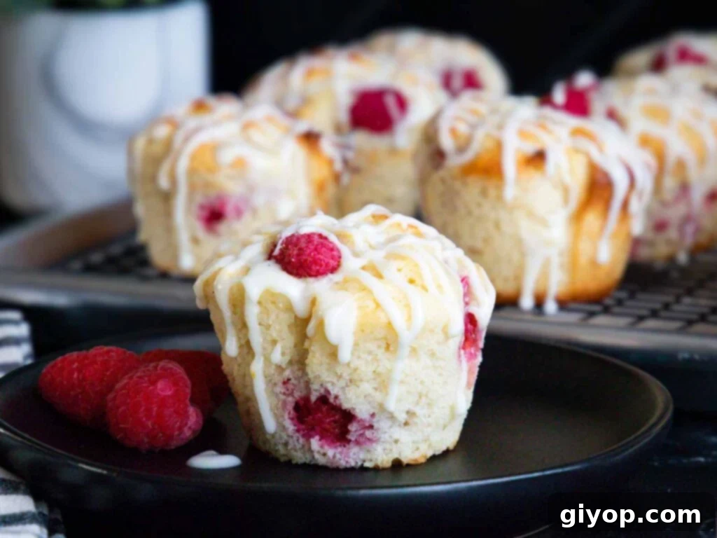A perfectly baked, golden-brown raspberry muffin on a dark plate, garnished with fresh raspberries and a drizzle of lemon glaze, showcasing its fluffy texture.