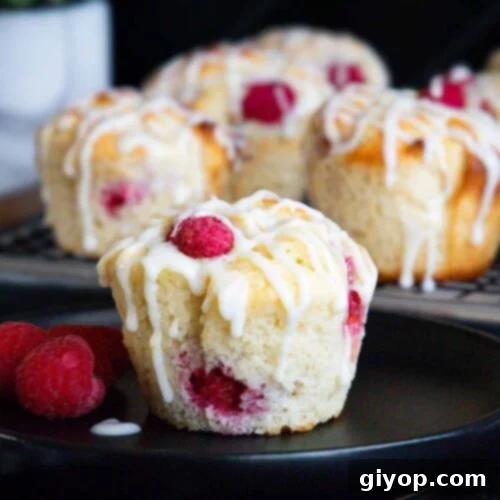 A perfectly baked raspberry muffin on a dark plate, garnished with fresh raspberries and a drizzle of lemon glaze, ready to be enjoyed.
