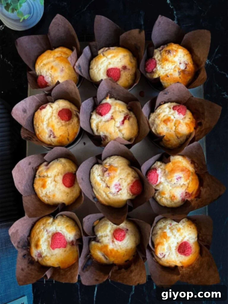 A fresh batch of golden-brown baked raspberry muffins, with their characteristic domed tops, cooling in the muffin pan directly out of the oven.