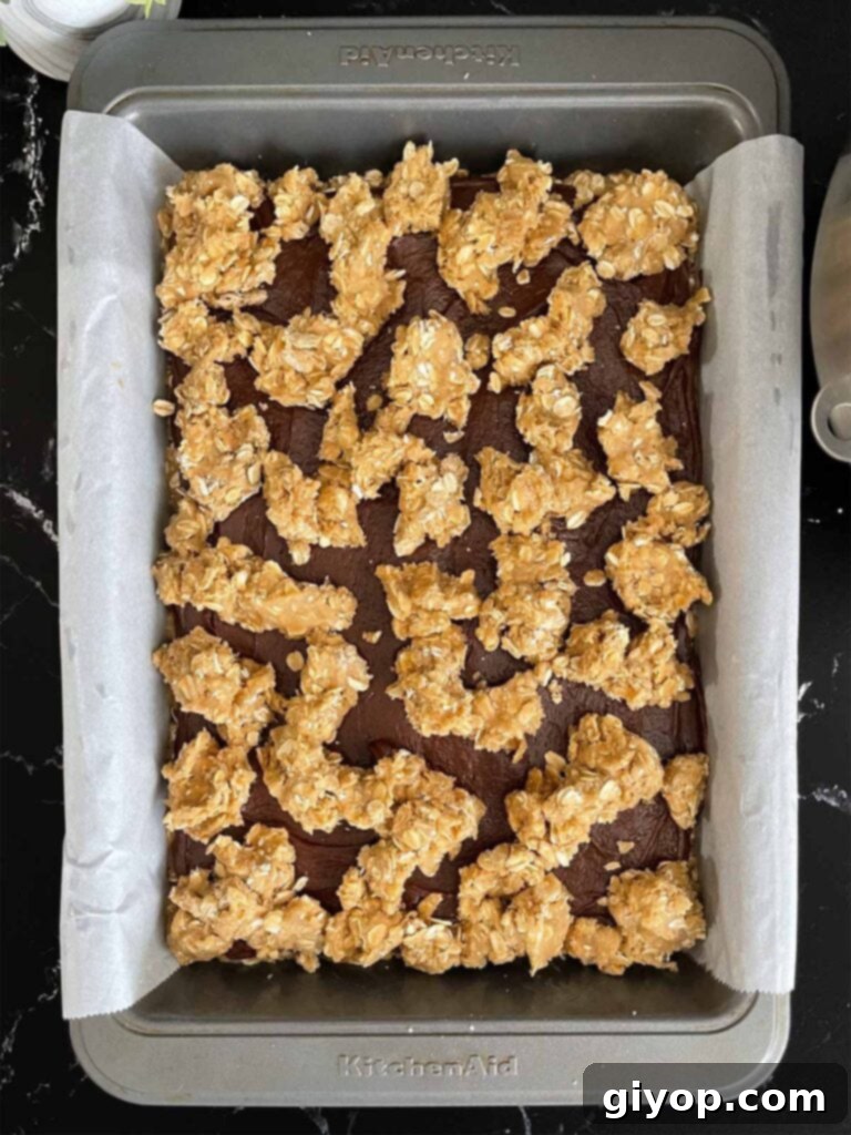 Chewy Oatmeal Fudge Bars 8 Scattered dollops of the remaining oatmeal cookie dough carefully placed over the smooth, dark chocolate fudge layer, ready for baking.