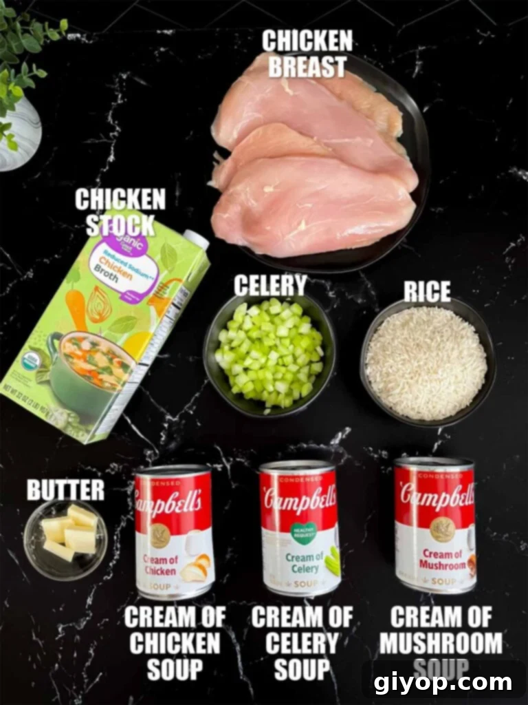 Chicken and rice casserole recipe ingredients on a dark surface.