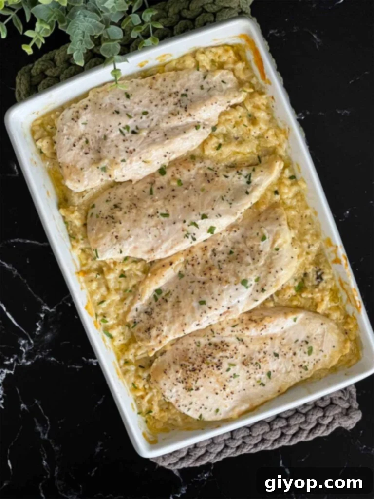 Chicken and rice casserole garnished with chopped parsley in a light baking pan on a dark surface.