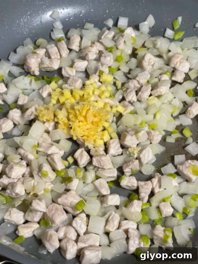 Onion, green onion, pork, ginger, and garlic in a skillet.