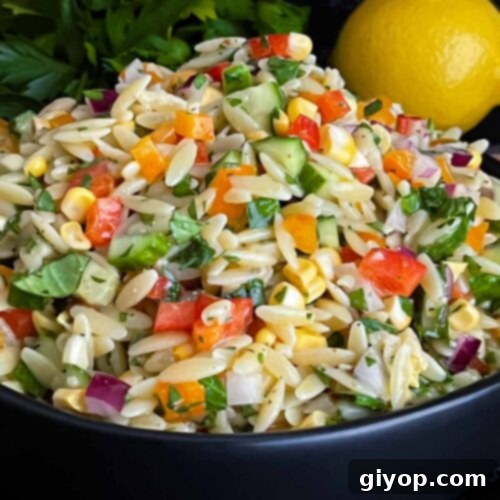 Orzo pasta salad in a dark bowl on a dark surface.