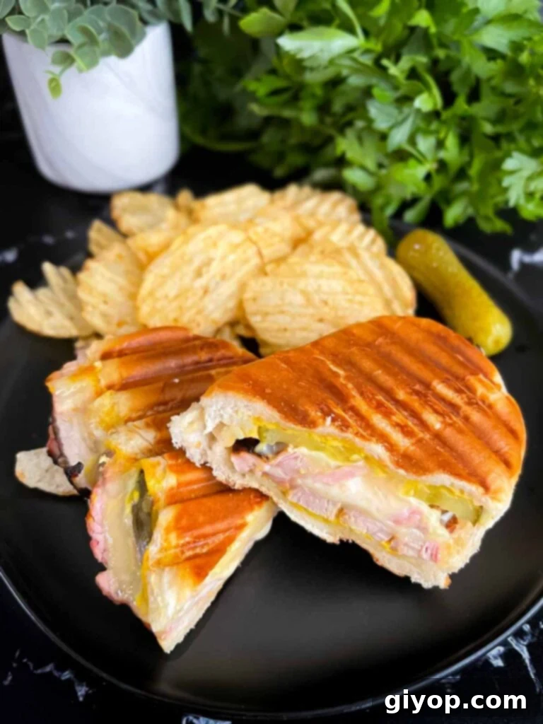 Texan Pit Smoked Pork Loin 12 Grilled Cuban Pork Tenderloin on a black plate.