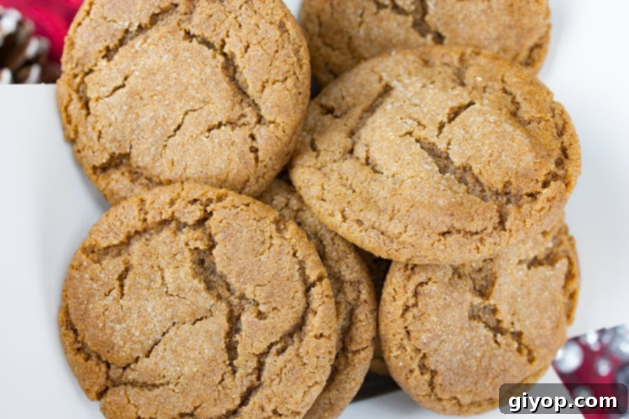 Old Fashioned Molasses Cookies in a white and silver box.