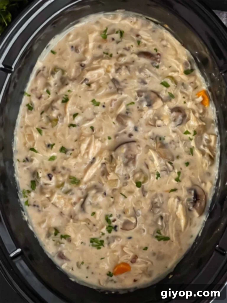 Soul-Warming Slow Cooker Chicken and Wild Rice Soup 11 Chicken and wild rice soup in the crock of a slow cooker.