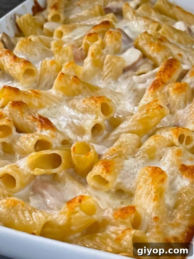 Chicken Alfredo Casserole in a white casserole dish.