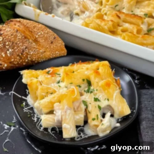 Chicken Alfredo Casserole in a white casserole dish with a serving on a black plate.