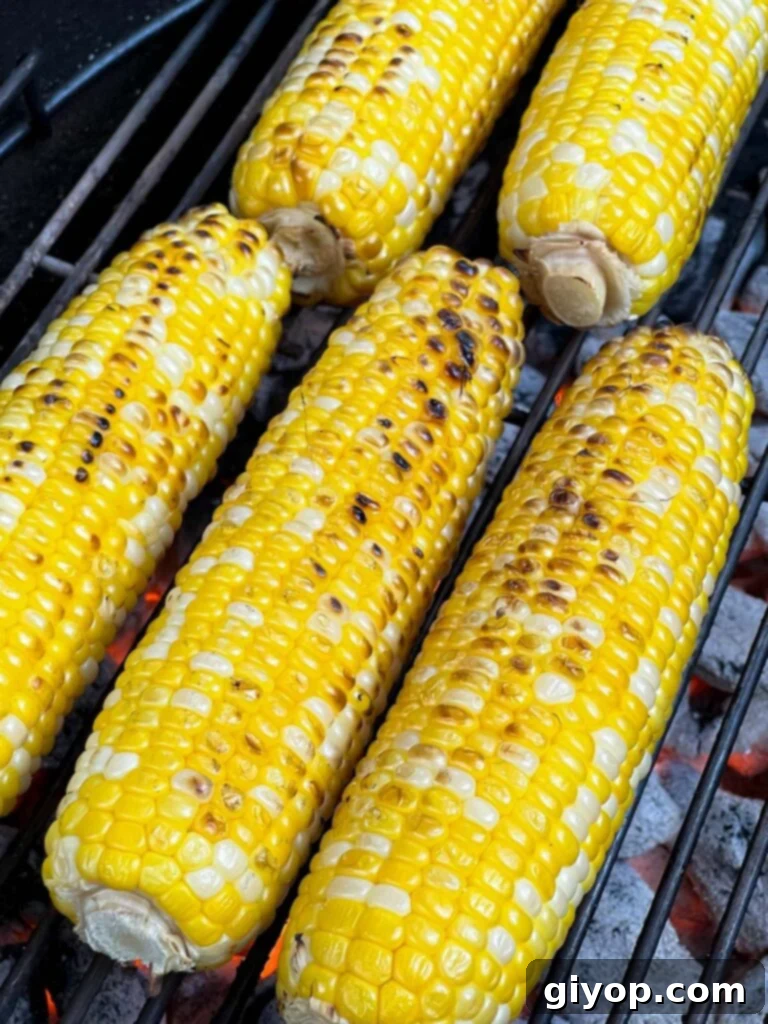 Corn on the cob grilling over an open flame, developing a char.