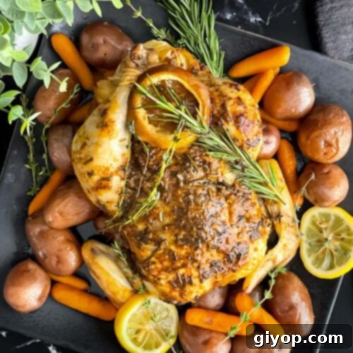 Slow cooker lemon herb whole chicken on a dark plate on a dark surface.