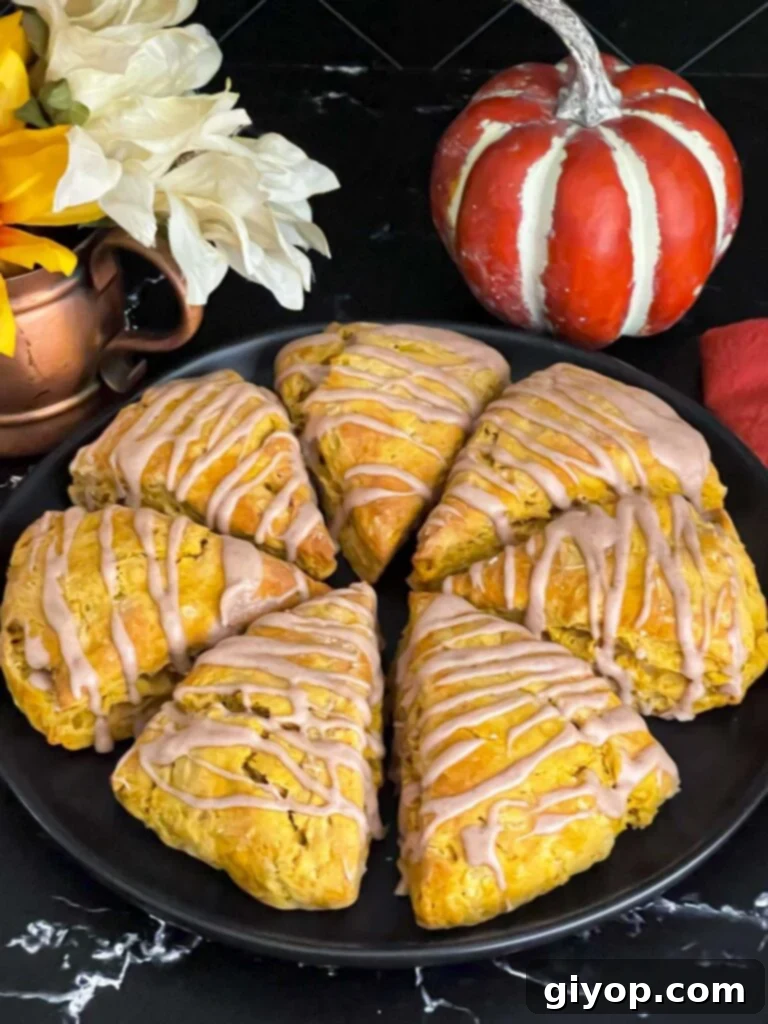 Freshly baked pumpkin scones, perfectly golden, arranged on a dark plate ready to be served, highlighting their inviting aroma and texture.