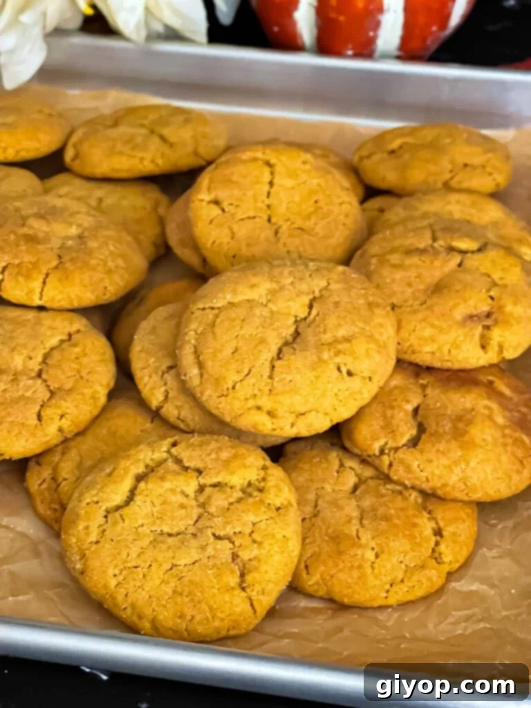 Freshly baked Pumpkin Snickerdoodle cookies arranged on a parchment paper lined baking sheet, highlighting their perfect golden edges and soft texture.
