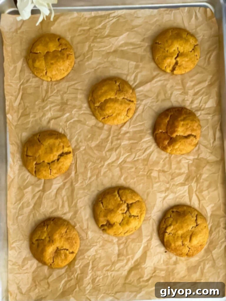 Freshly baked pumpkin snickerdoodle cookies cooling on a parchment paper lined cookie sheet, showcasing their golden-brown edges and soft centers.