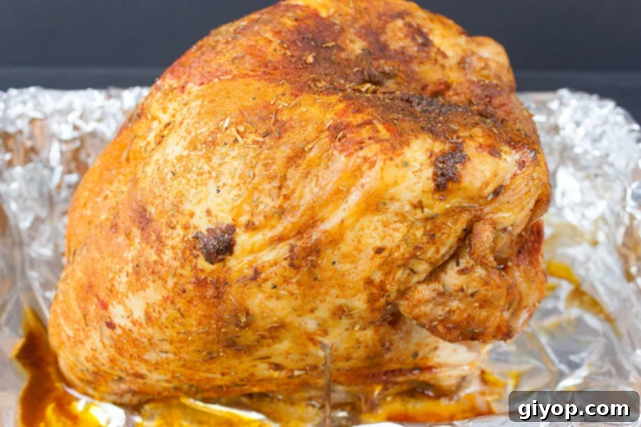 Artisan Cajun Turkey Deli Slices 5 Homemade Cajun Turkey Deli Meat - baked turkey breast on a foil lined roasting pan