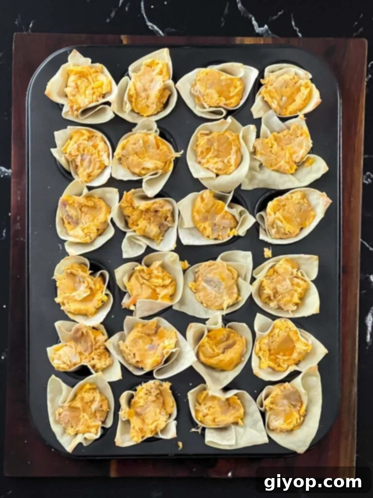 Buffalo chicken mixture neatly spooned into each wonton cup in the muffin pan.