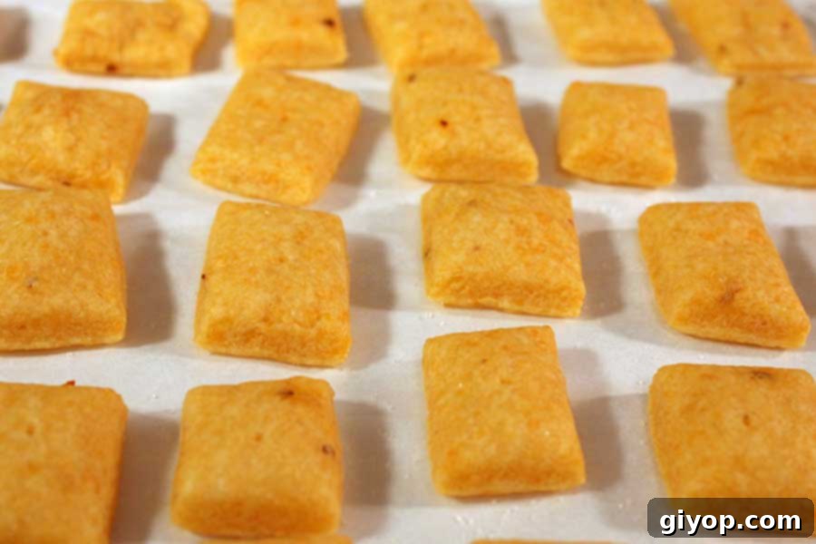 A baking sheet filled with golden-brown baked spicy cheese crackers, showing their crisp texture and uniform color. They are cooling on the parchment paper.