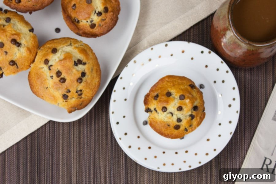 Bakery Style Chocolate Chip Muffins.