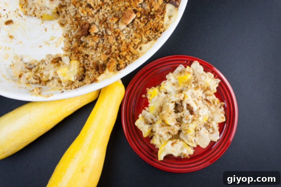 Southern Golden Squash Bake 5 A serving of Southern Yellow Squash Casserole, showcasing its rich texture and topping, presented on a red plate.