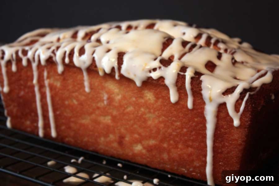 Meyer Lemon Loaf on a wire rack with the glaze setting, ready to be enjoyed.