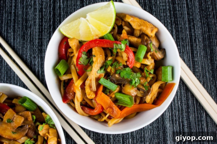 Siam Spice Chicken Noodle Bowl 3 Spicy Thai Chicken Noodle Bowl garnished with a lime wedge and cilantro.