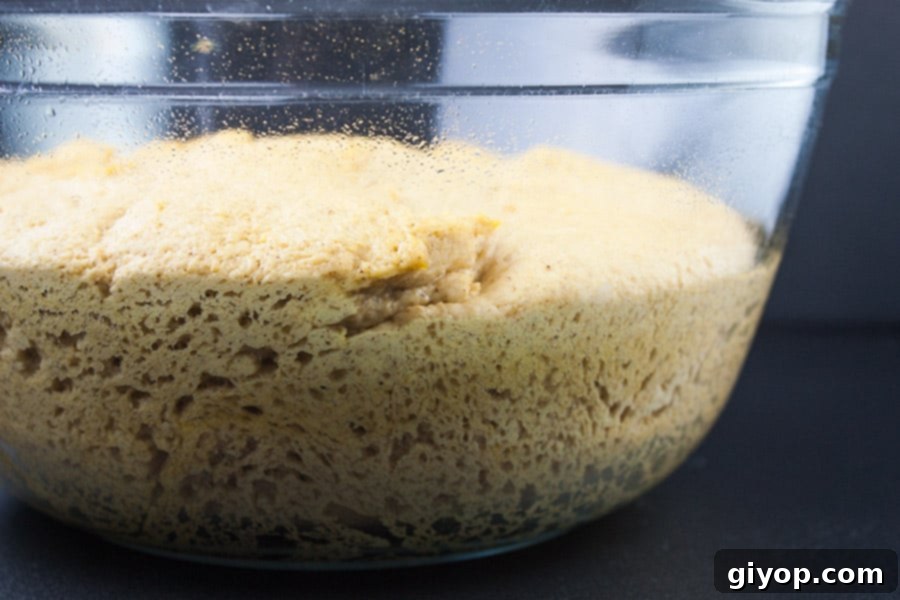 The soft, pliable pumpkin bread dough gracefully rising in a greased glass bowl, covered for its first proofing.